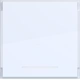 Rocker single, large text field, clear lens, A.x/C.x, light white matte