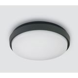 ANTHRACITE PLAFO 30W WW IP54 230V