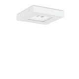 CENTRYXX IP65, 6,5 W, 450 lm, 765, white, on/off Ceiling luminaires, L