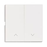 Rocker S 55, arrow symbol for blinds switch, push button, w