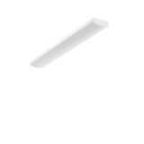 PLANADO, 39 W, 4600 lm, 830, white, DALI Ceiling and wall luminaires, 