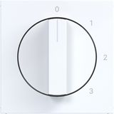 Central plate 3-position switch, neutral position, A.x/C.x white glass.