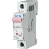 PL7-D2/1 Miniature circuit breaker (MCB), 2 A, 1p, characteristic: D