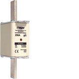 NH fuse NH2 gG 690V 250A with twin indicator and live gripping lug
