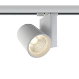 WHITE COB 30W WW TRACK SPOT 230V