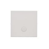 Single button for switches and push buttons, light gray matt