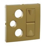 COV PLATE R-TV-SAT-2XRJ45 MULT SOCKET GOLDEN
