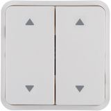 Rocker 2gang f. W.1 push-button BCU, imprint 4 arrows top/bottom right