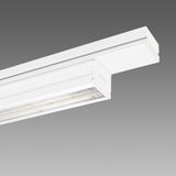 TECHNO SYSTEM HE 6642 46W CLD BIA