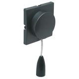 C.PLAT F/PULL-CORD PUSH-BUT/TWO-WAY SWITCH GR