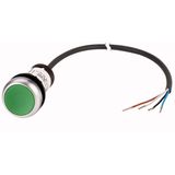 C22-DR-G-K10-P65 Pushbutton, classic, flat, maintained, 1 N/O, green, cable (black) with non-terminated end, 4 pole, 3.5 m