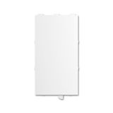 AudioWorld, Inserts for flush-mounted devices, Busch-DigitalRadio, 