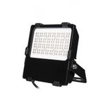 Reflector LED lamp Delta 100, 100W, 5000K, opt. 60x120°