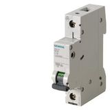 Miniature circuit breaker 230/400 V 10 kA, 1-pole, C, 0.3 A