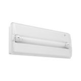 PANLUX Lamp PLUTO 6W/G5 230V 40lm 1h emergency IP40