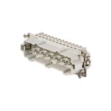 HDC insert, Male, 830 V, 20 A, Number of poles: 12, Screw connection, Size: 8