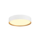 DECONA 30 PHASE 3000/4000K White/Gold