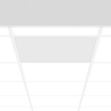 Parledo, 31 W, 4500 lm, 840, white, DALI Lay-in luminaires, L 622 B 62