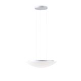 LED-2L43C09ZLE11/084/L100 S 3000