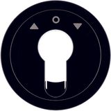 Centre plate f. key push-button f. blinds/key switch, R.1/R.3, black g