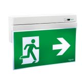 Exiway Smartexit, IP40, 230V Emergency Responder, 26m, Safety Signalling Device