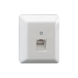 1-way UAE socket, surface-mounted, pure white (similar to RAL 9010)