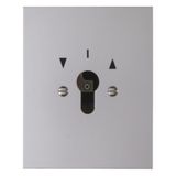 Blind switch 2-pole for key cylinder, flush-mounted, molded IP44