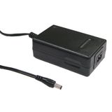 MEAN WELL GC30B-2P1J power adapter/inverter 30 W