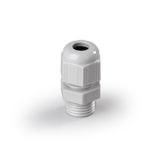 KT24.36 | Cable gland, plastic Cø 22-31 mm, TL 13 mm, Pg36