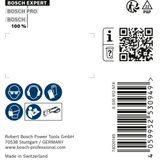 EXPERT 3 max AVZ 70 RT4 Multitool Grouting Plate 70 mm 10-pc