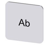 Labeling plate 22x22 mm, silver-colored label, labeling: Ab