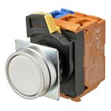 Pushbutton A22NN Ã˜22, bezel brushed metal, FLAT, Alternate, CAP COLOR A2211649B