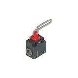 Safety switch with slotted hole lever