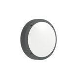BELLARIA-A IP54 13W LF830 ANTHRACITE