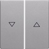 Rockers with imprinted symbol arrow, Q.1/Q.3, aluminium velvety, lacqu