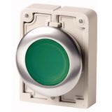 M30I-FDL-G Illuminated pushbutton actuator, RMQ-Titan, flat, momentary, green, blank, Front ring stainless steel