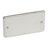 Synergy Authentic 2 gang blanking plate Brushed Stainless steel