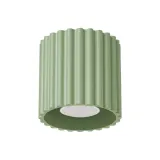 Ceiling lamp AURA 1 sage GU10