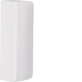 End cap,ATEHA,20x75,pure white