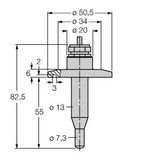 Flow Monitoring Immersion Sensor without Integrated Processor   FCS-50A4-NA/D014