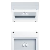 RESCLITE PROtect MSC ANT HC ECP WH IP65 - Safety luminaire