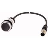 C22-D-S-K01-P5 Pushbutton, Flat, momentary, 1 NC, Cable (black) with M12A plug, 4 pole, 1 m, black, Blank, Bezel: titanium