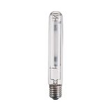 WLS Bulb E40 100W SON-T PIA HG-FREE Philips