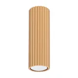 SPOT 20CM GOLD FROM THE CARBON SERIES FOR A MODERN LIVING ROOM
