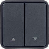 Rocker 2gang for push-button BCU, imprint 2 arrows right/left, grey