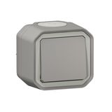 VV / POUSS SIMPLE GRIS SAILLIE