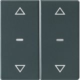 Cover arrow f. 2gang f. push-button m, clearlenses, Q.1/Q.3, ant. velv