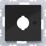 Central plate Ø18.8 mm, A.x/C.x/S.1/B.x/Q.x/K.x black glazing