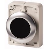 M30I-FDR-S Pushbutton, RMQ-Titan, flat, maintained, black, blank, Front ring stainless steel