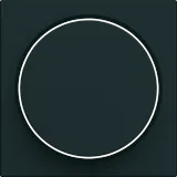 gallery 2M Rotary var. key, black lum